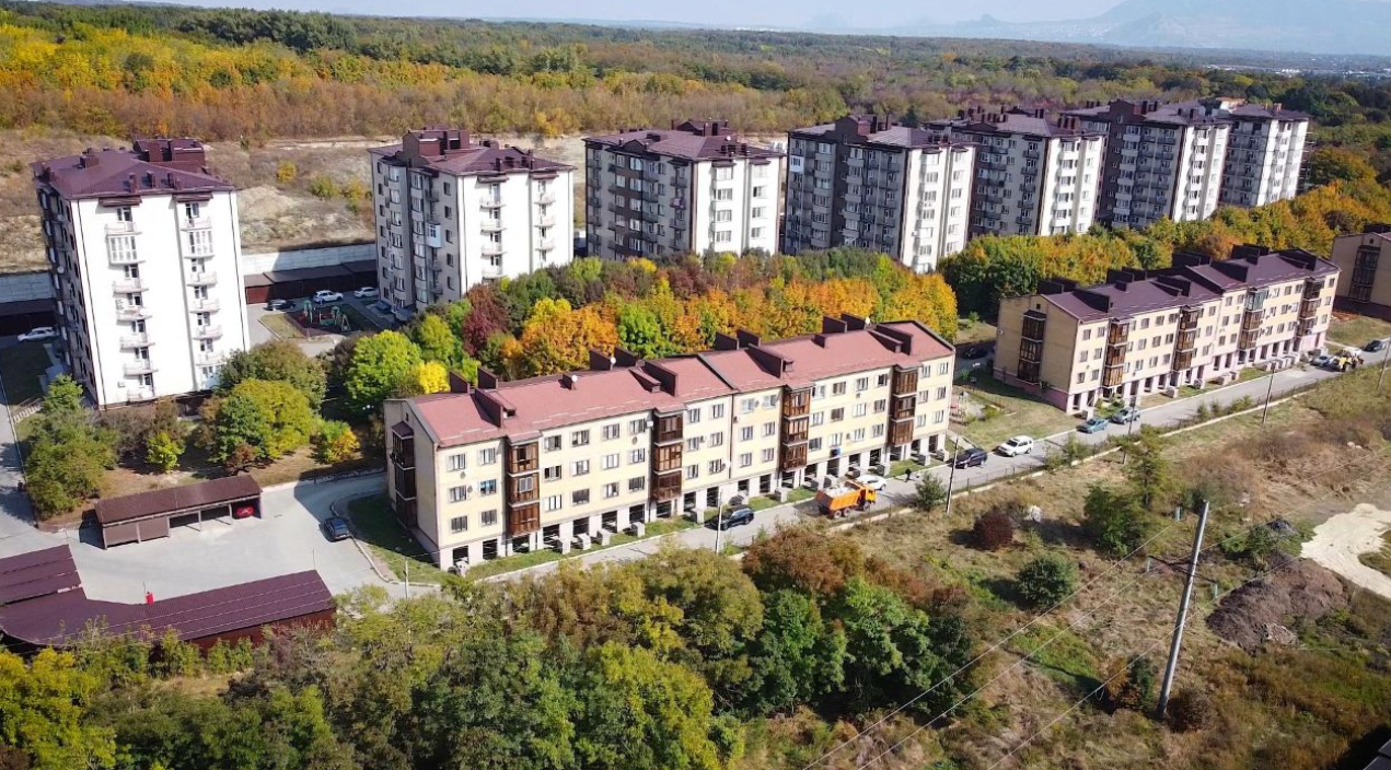Кленовая роща